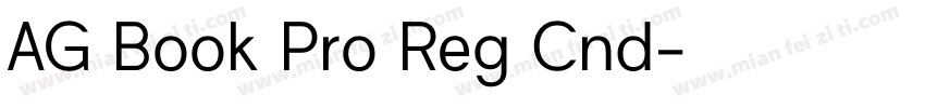 AG Book Pro Reg Cnd字体转换